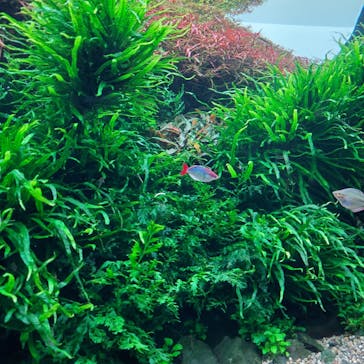 AOAO SAPPOROに投稿された画像（2024/2/19）