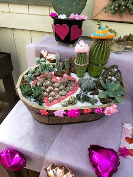 伊豆シャボテン動物公園に投稿された画像（2024/2/19）