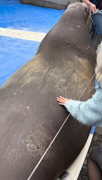 大分マリーンパレス水族館 「うみたまご」に投稿された画像（2024/2/20）