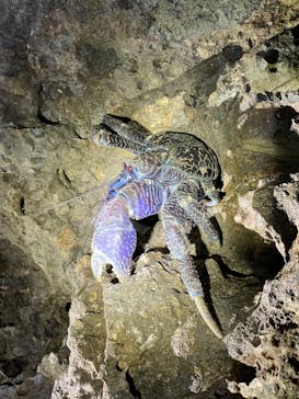 石垣島 ADVENTURE PiPi（イシガキジマアドベンチャーピピ）に投稿された画像（2024/2/20）