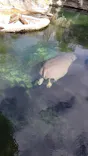 天王寺動物園に投稿された画像（2024/2/20）