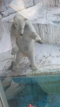 天王寺動物園に投稿された画像（2024/2/20）