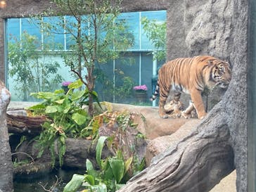 神戸どうぶつ王国に投稿された画像（2024/2/20）