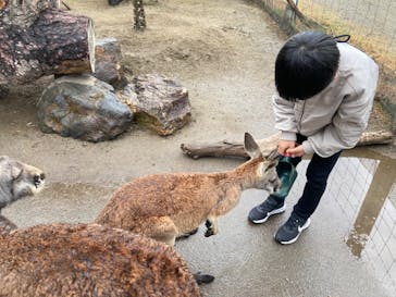 神戸どうぶつ王国に投稿された画像（2024/2/20）