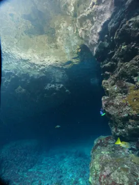 武藤潜水に投稿された画像（2024/2/20）