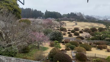 偕楽園本園に投稿された画像（2024/2/20）