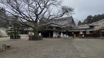 偕楽園本園に投稿された画像（2024/2/20）