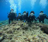 武藤潜水に投稿された画像（2024/2/20）