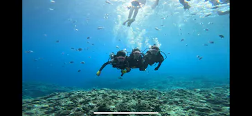 武藤潜水に投稿された画像（2024/2/20）