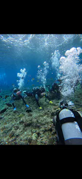 武藤潜水に投稿された画像（2024/2/20）