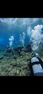 武藤潜水に投稿された画像（2024/2/20）