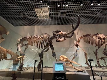 国立科学博物館に投稿された画像（2024/2/20）