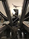 福井県立恐竜博物館に投稿された画像（2024/2/20）