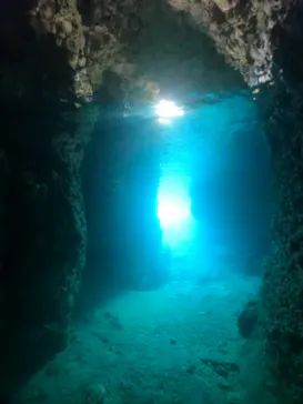 武藤潜水に投稿された画像（2024/2/20）