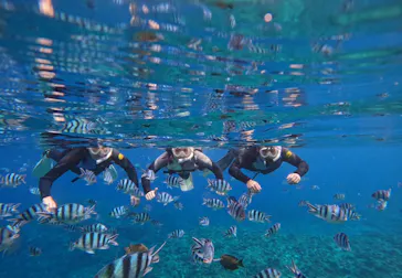 武藤潜水に投稿された画像（2024/2/20）