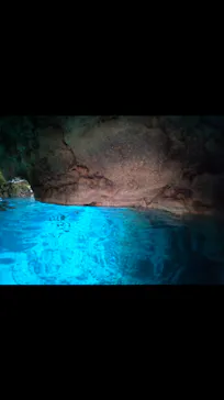 武藤潜水に投稿された画像（2024/2/20）