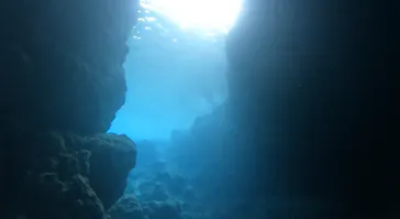 武藤潜水に投稿された画像（2024/2/20）