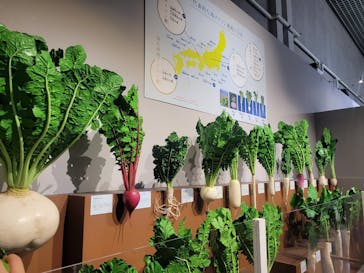 特別展「和食 ～日本の自然、人々の知恵～」に投稿された画像（2024/2/20）