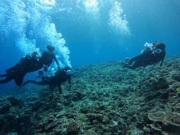 青の洞窟専門店　沖縄ダイビングショップ和に投稿された画像（2024/2/20）