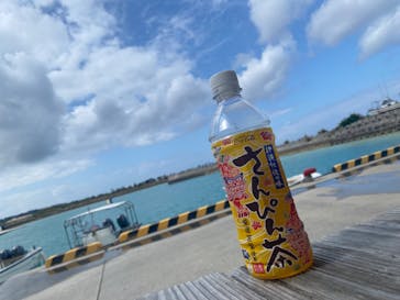 青の洞窟専門店　沖縄ダイビングショップ和に投稿された画像（2024/2/20）