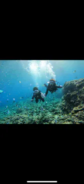 武藤潜水に投稿された画像（2024/2/20）