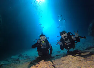 武藤潜水に投稿された画像（2024/2/20）