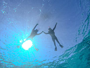 宮古島 ADVENTURE PiPi（ミヤコジマ アドベンチャー ピピ）に投稿された画像（2024/2/20）