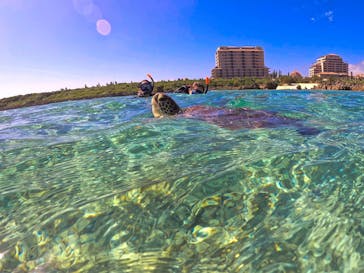 宮古島 ADVENTURE PiPi（ミヤコジマ アドベンチャー ピピ）に投稿された画像（2024/2/20）