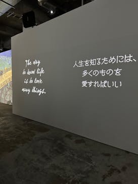 ゴッホ・アライブに投稿された画像（2024/2/20）