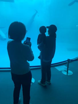 名古屋港水族館に投稿された画像（2024/2/20）