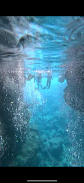 武藤潜水に投稿された画像（2024/2/20）