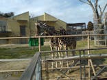 日立市かみね動物園に投稿された画像（2024/2/20）