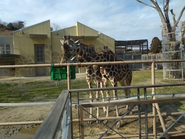 日立市かみね動物園に投稿された画像（2024/2/20）