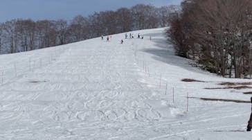 たざわ湖スキー場に投稿された画像（2024/2/20）