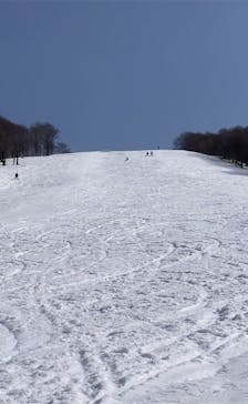 たざわ湖スキー場に投稿された画像（2024/2/20）