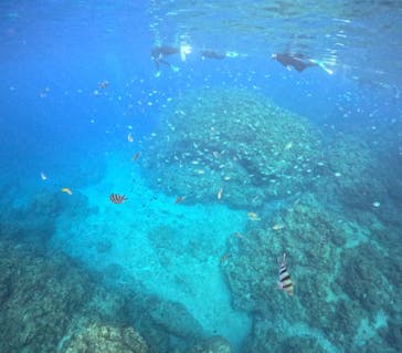 沖縄マリンサービス碧に投稿された画像（2024/2/20）