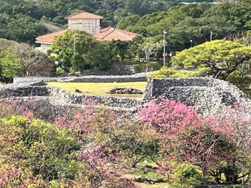 今帰仁城跡に投稿された画像（2024/2/20）