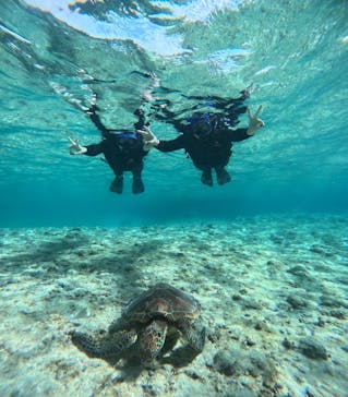 宮古島 ADVENTURE PiPi（ミヤコジマ アドベンチャー ピピ）に投稿された画像（2024/2/20）