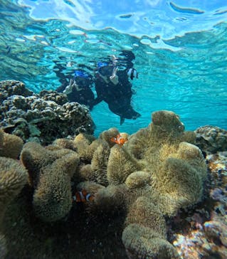 宮古島 ADVENTURE PiPi（ミヤコジマ アドベンチャー ピピ）に投稿された画像（2024/2/20）