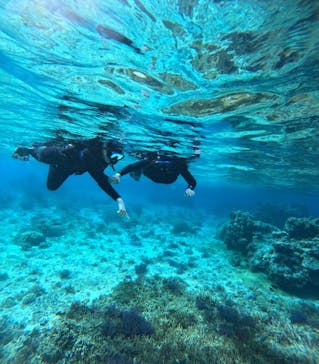 宮古島 ADVENTURE PiPi（ミヤコジマ アドベンチャー ピピ）に投稿された画像（2024/2/20）