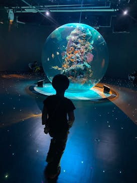 AQUARIUM × ART　atoaに投稿された画像（2024/2/20）