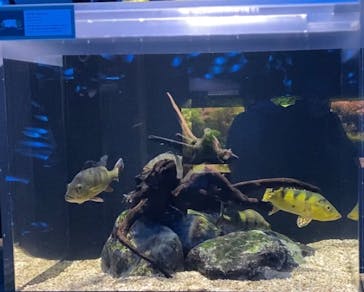 AQUARIUM × ART　atoaに投稿された画像（2024/2/20）
