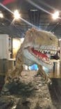 福井県立恐竜博物館に投稿された画像（2024/2/20）