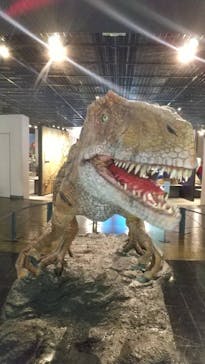 福井県立恐竜博物館に投稿された画像（2024/2/20）