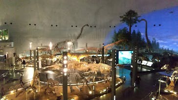 福井県立恐竜博物館に投稿された画像（2024/2/20）
