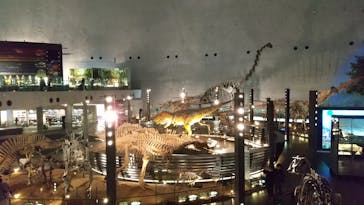 福井県立恐竜博物館に投稿された画像（2024/2/20）