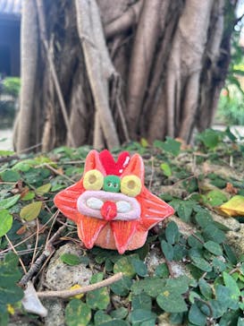 おきなわワールドに投稿された画像（2024/2/20）