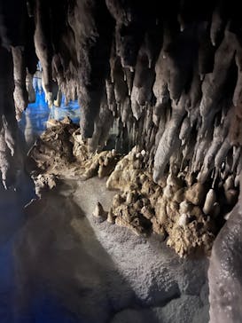 おきなわワールドに投稿された画像（2024/2/20）