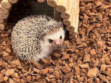 Moff animal cafe イオンモール幕張新都心店に投稿された画像（2024/2/20）