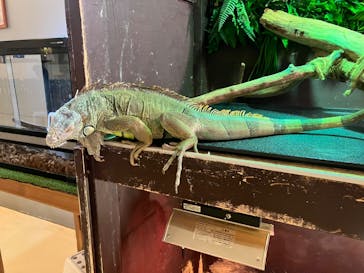 Moff animal cafe イオンモール幕張新都心店に投稿された画像（2024/2/20）